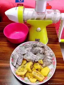 果語榨汁機廠家直銷 享受正品批發價格，輕松制作健康蔬菜汁