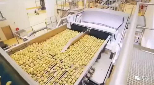 佳盛企智深加工共享工廠 創新農產品生產模式，助力蔬菜產業升級